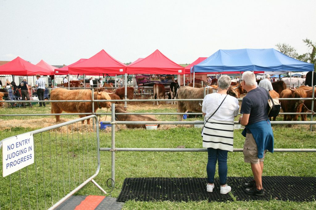 Ipswich Show Day